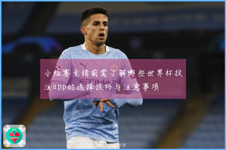 小组赛竞猜前需了解哪些世界杯投注app的选择技巧与注意事项