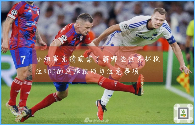 小组赛竞猜前需了解哪些世界杯投注app的选择技巧与注意事项