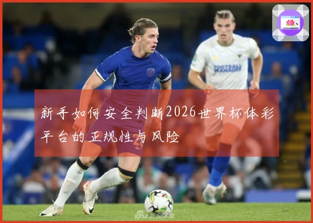 新手如何安全判断2026世界杯体彩平台的正规性与风险
