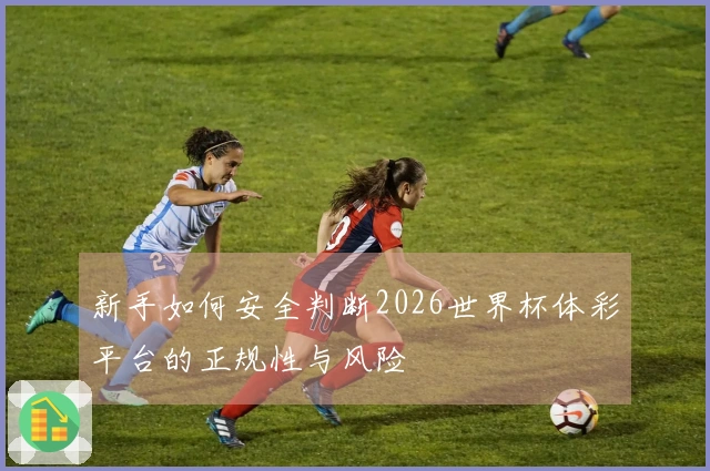 新手如何安全判断2026世界杯体彩平台的正规性与风险